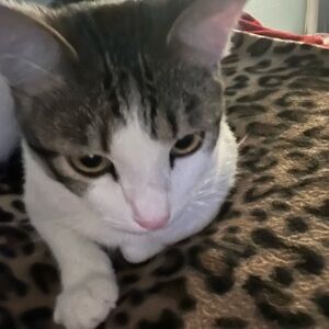 Meet your Posher, Alicia